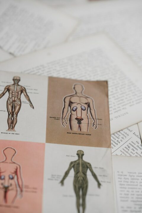 Human body notes displayed on a desk