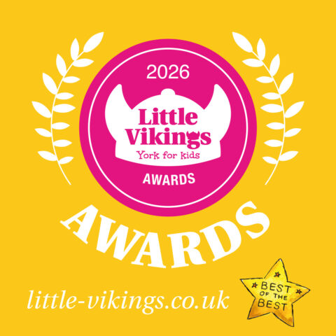 Little Vikings Awards Logo